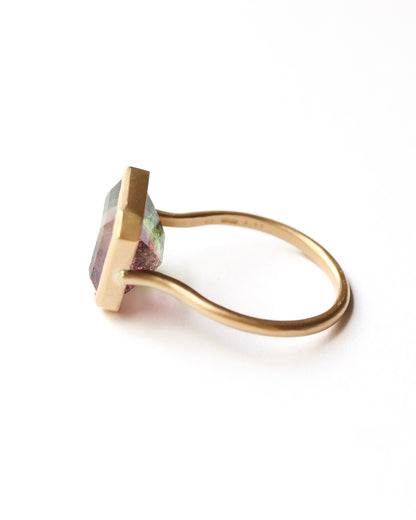 Collet Ring - Bicolor Tourmaline -