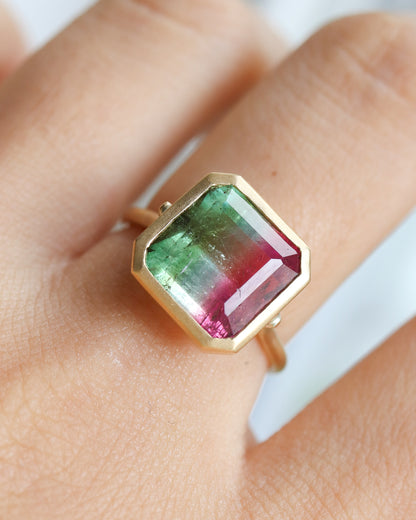 Collet Ring - Bicolor Tourmaline -